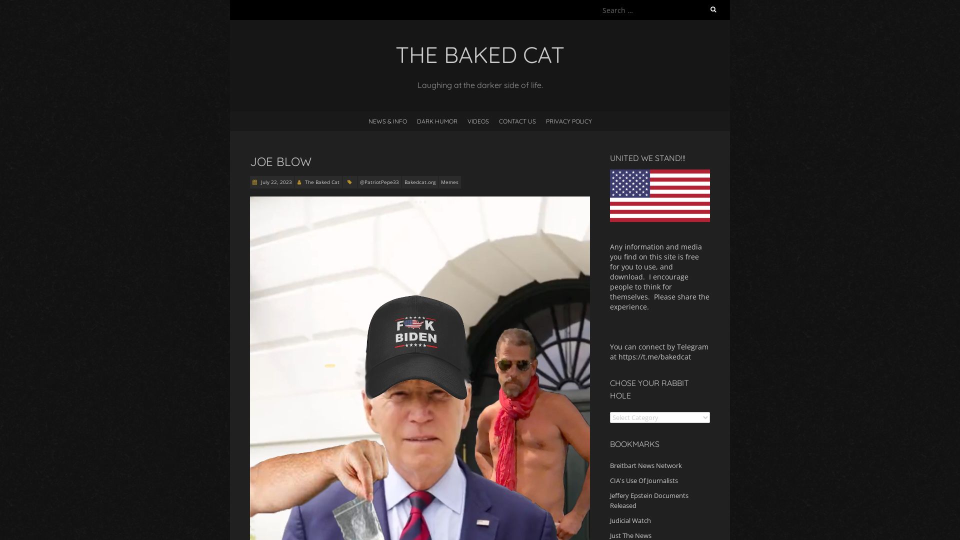 Статус сайта bakedcat.org ОНЛАЙН
