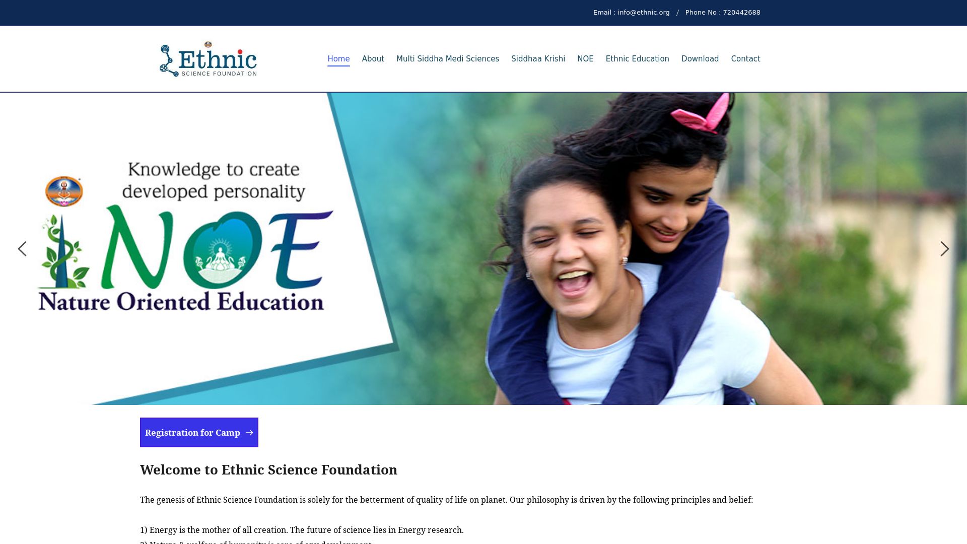 Статус сайта ethnic.org ОНЛАЙН