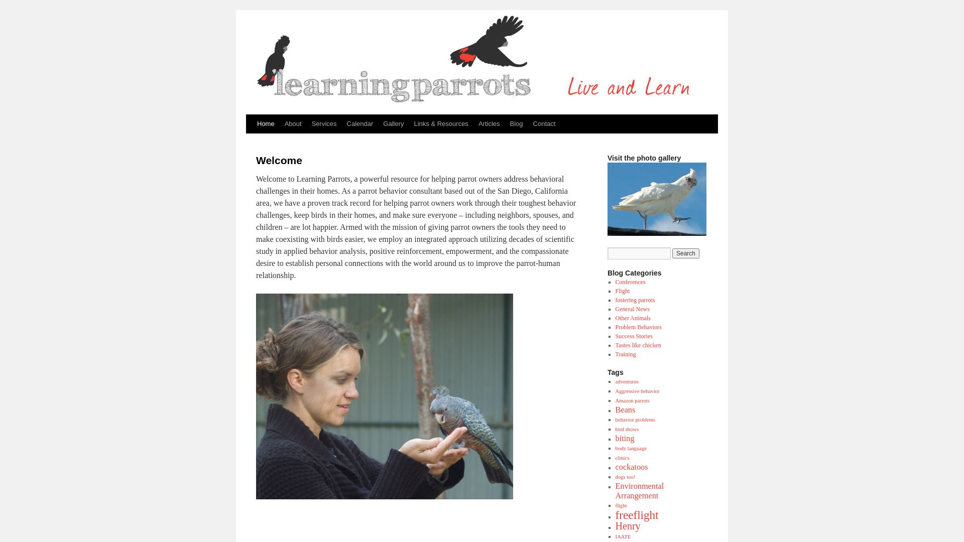Статус сайта learningparrots.com ОНЛАЙН