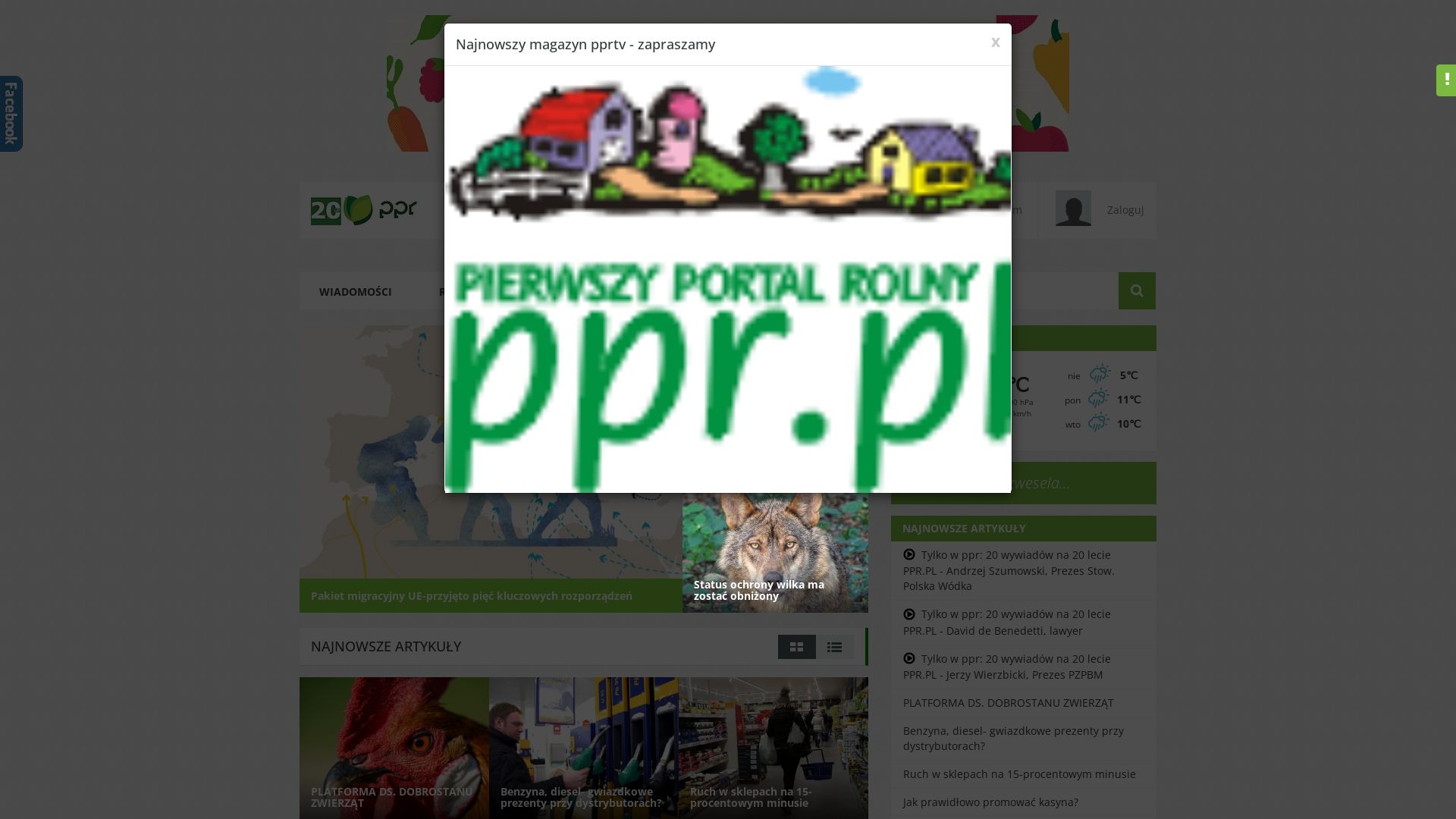 Статус сайта ppr.pl ОНЛАЙН