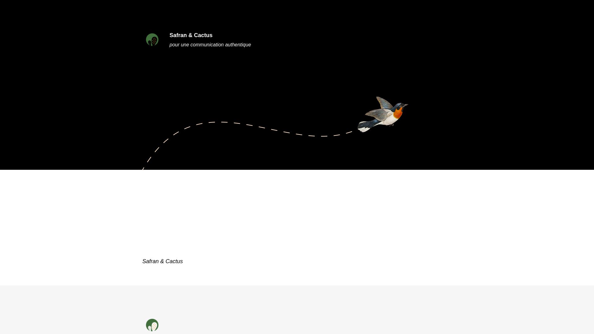 Статус сайта safranetcactus.fr ОНЛАЙН