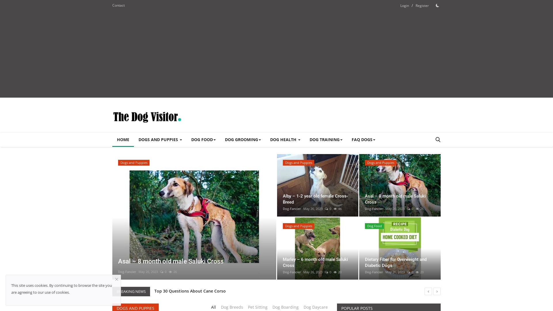 Статус сайта thedogvisitor.com ОНЛАЙН